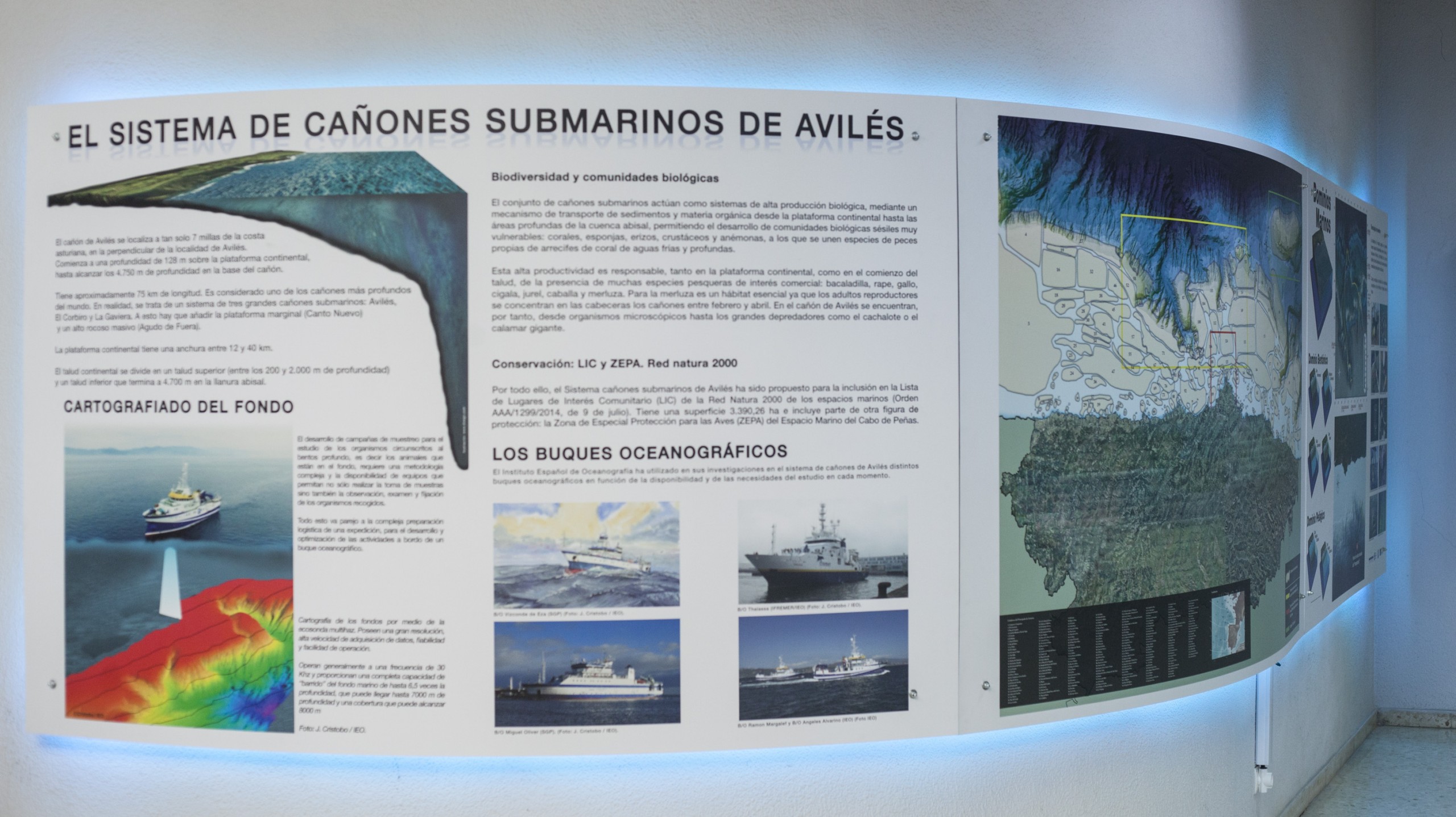 Dirección General de Pesca del Principado de Asturias. Exposición, diseño gráfico, trampantojo y producción sobre el Cañón de Avilés 2016.