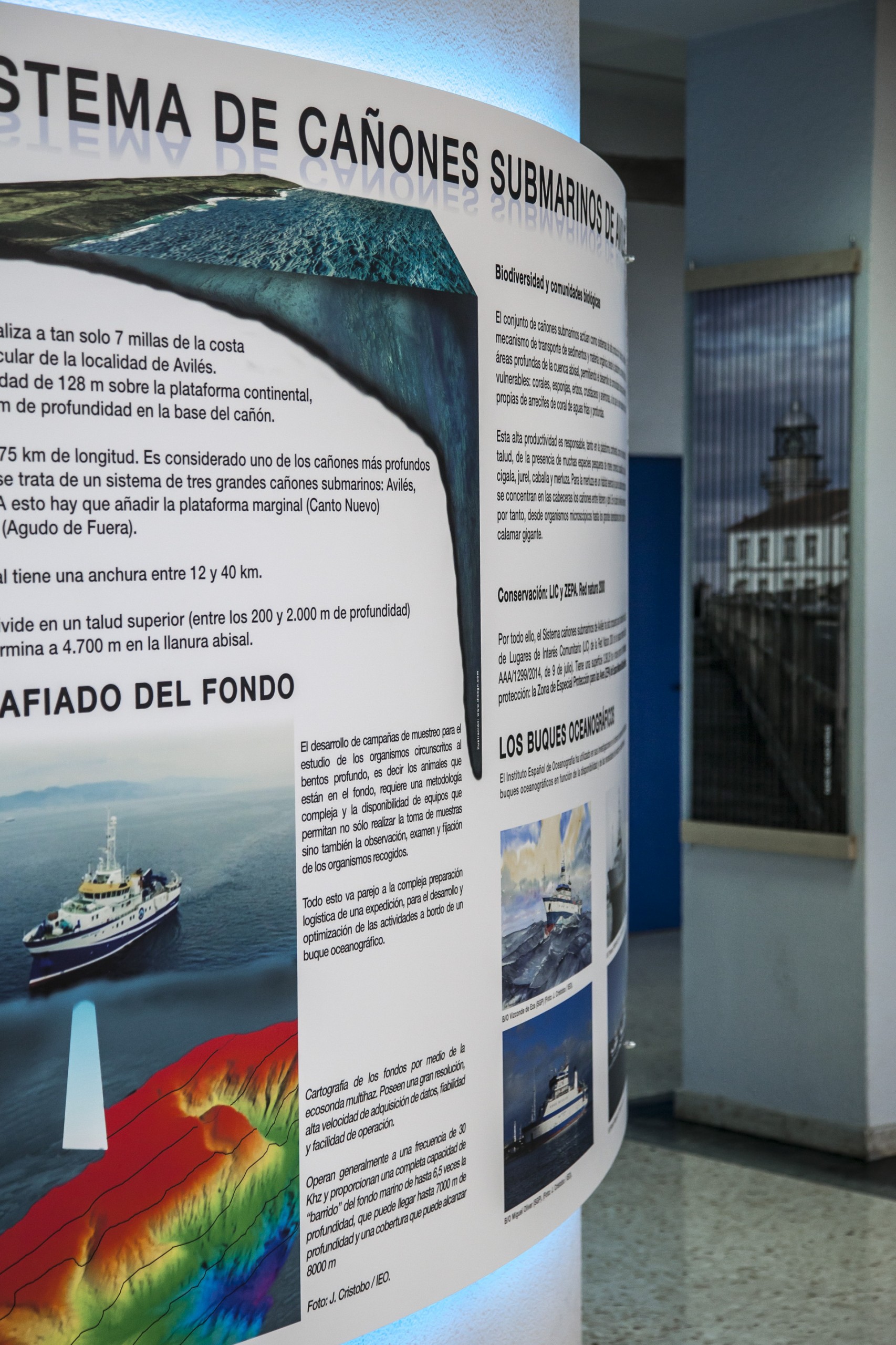 Dirección General de Pesca del Principado de Asturias. Exposición, diseño gráfico, trampantojo y producción sobre el Cañón de Avilés 2016.